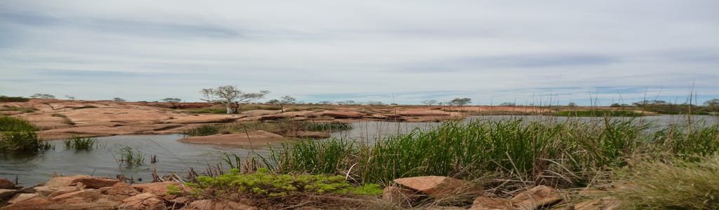 River oasis in arid landscape in kariyarra site