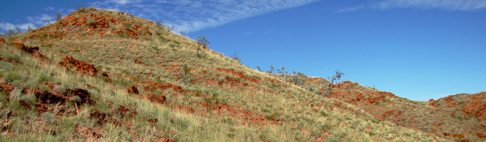 Grassy hill under blue sky survey site